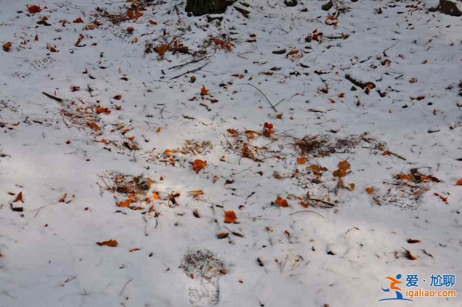 九寨溝雪景什么時間去,九寨溝什么時候下雪？