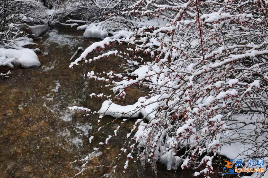 九寨溝雪景什么時間去,九寨溝什么時候下雪？
