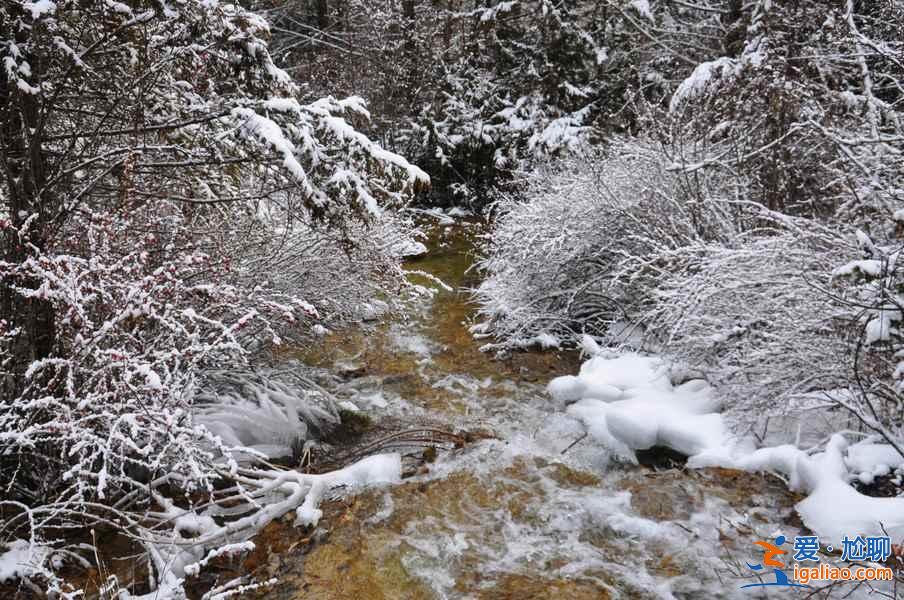 九寨溝雪景什么時間去,九寨溝什么時候下雪？