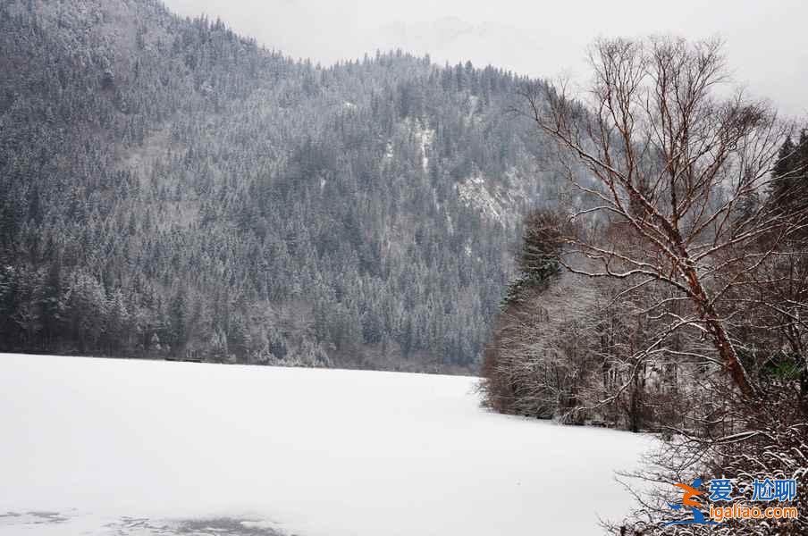 九寨溝雪景什么時間去,九寨溝什么時候下雪？