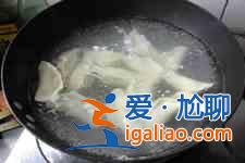 茴香餃子的做法大全？