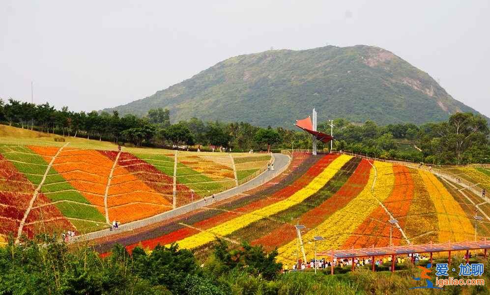 深圳周末親子游，深圳適合小孩玩地方？