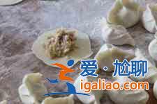 豬肉白菜餃子餡的做法？