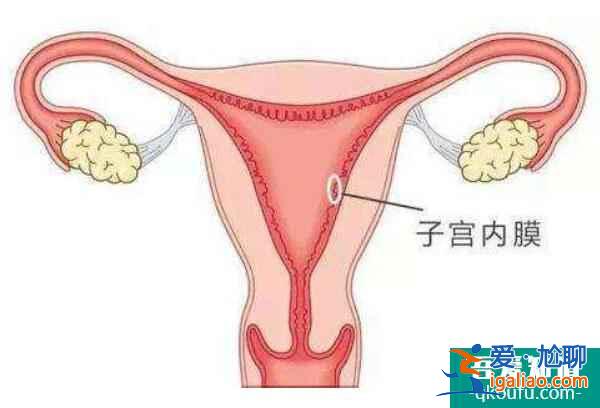 子宮息肉切除后，赴美做試管嬰兒的三大好孕對策？