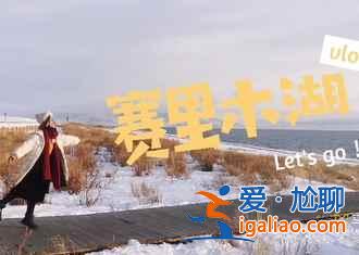 冬日北疆,美麗更甚東北?。缊D)? 冬日北疆,美麗更甚東北?。缊D)?