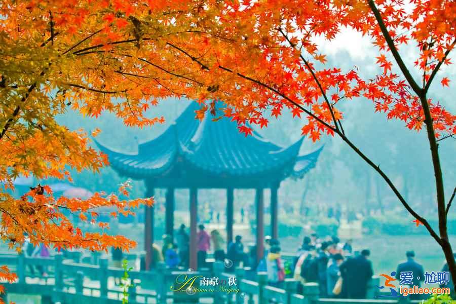 寧安高鐵通車(chē)時(shí)間及票價(jià)信息？