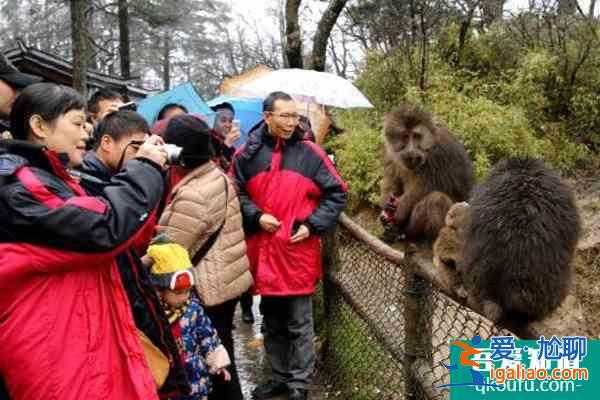 峨眉山冬天封山嗎 峨眉山冬天旅游攻略？