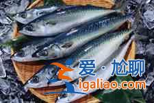 鲅魚(yú)餃子的做法？