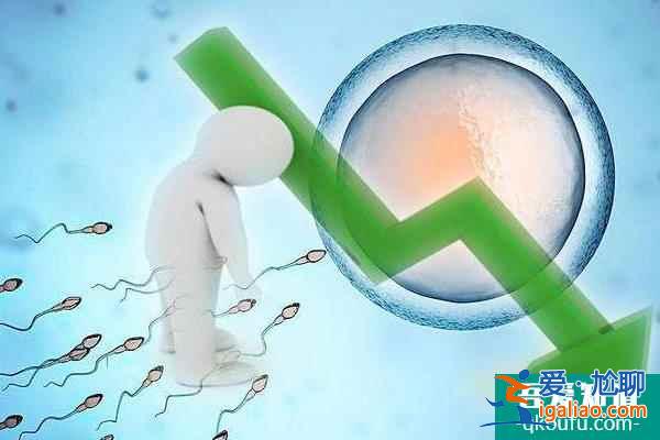 赴美試管嬰兒：男方大齡對成功率有影響嗎？？