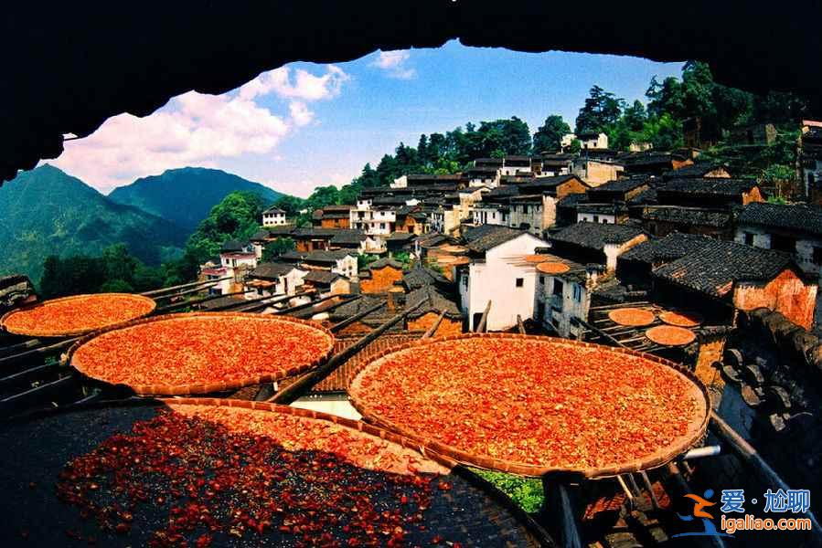 中國(guó)最美鄉(xiāng)村，即將迎來(lái)它一年中最美的時(shí)刻？