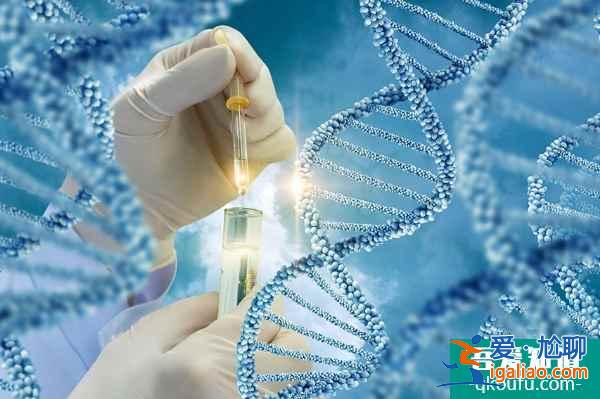 赴美試管嬰兒：男方大齡對成功率有影響嗎？？