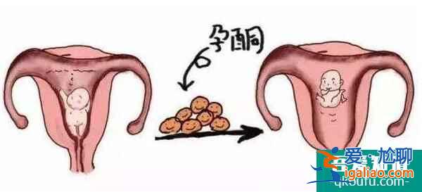 試管嬰兒答疑會：詳解檢測激素六項(xiàng)的重要意義？