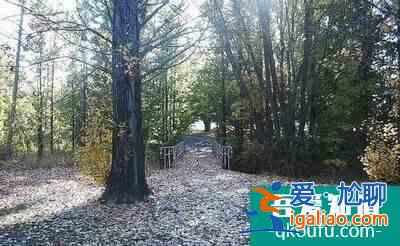 雅思多少可以申請卡迪夫大學(xué)？