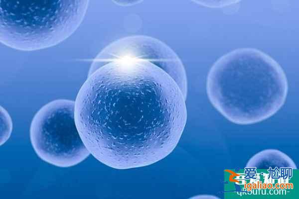 試管嬰兒：從不孕到好孕只需經(jīng)歷7個(gè)步驟？