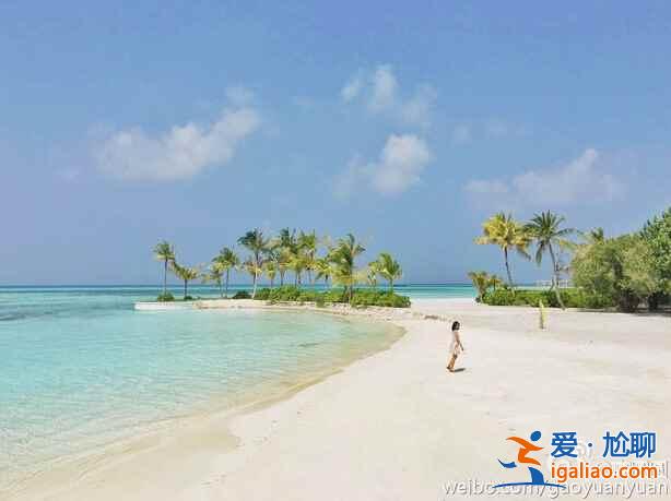 高圓圓微博說的翡諾島,是什么地方?? 高圓圓微博說的翡諾島,是什么地方??
