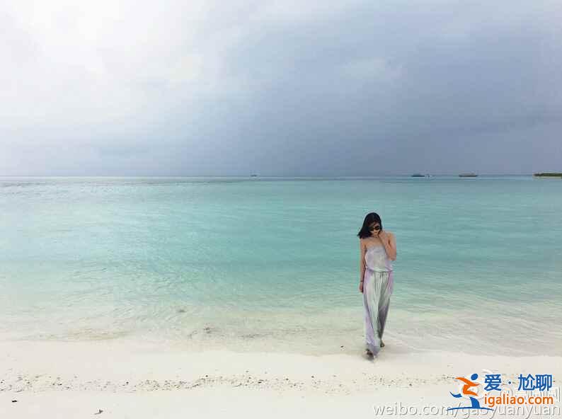 高圓圓微博說的翡諾島,是什么地方?? 高圓圓微博說的翡諾島,是什么地方??