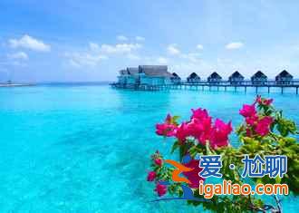 高圓圓微博說的翡諾島,是什么地方?? 高圓圓微博說的翡諾島,是什么地方??