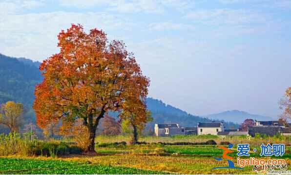10月份中國(guó)最美的地方，你想去哪里？？