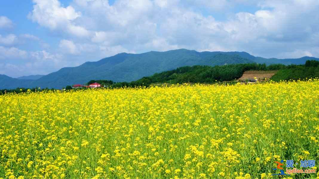中國(guó)北方最美的隱世桃源：丹東綠江村？