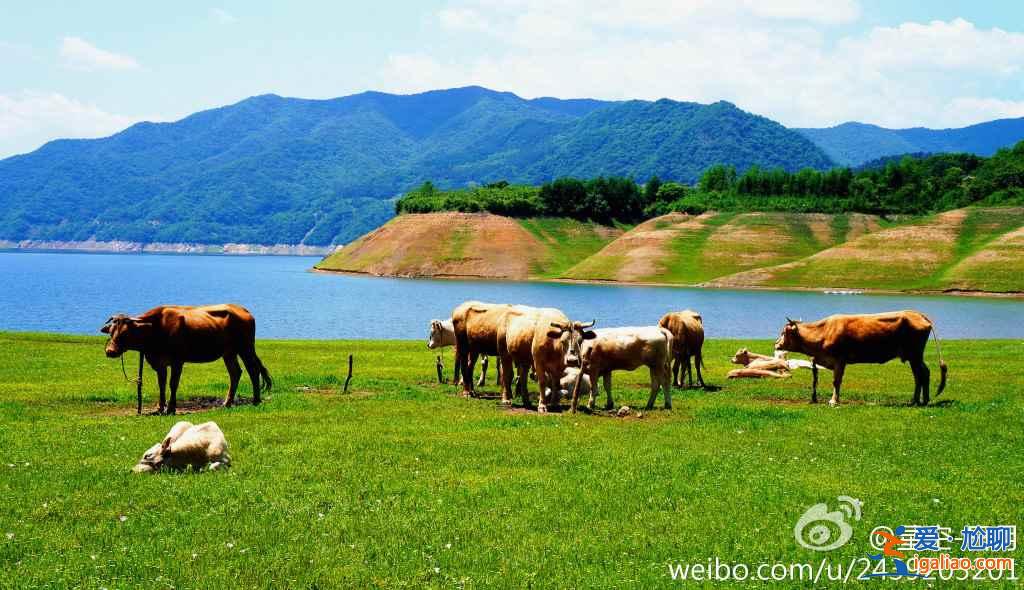 中國離朝鮮最近的地方，你知道是哪里嗎？？