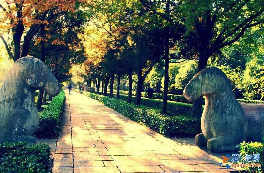 【南京免費(fèi)景點(diǎn)】最新南京免費(fèi)旅游景點(diǎn)？