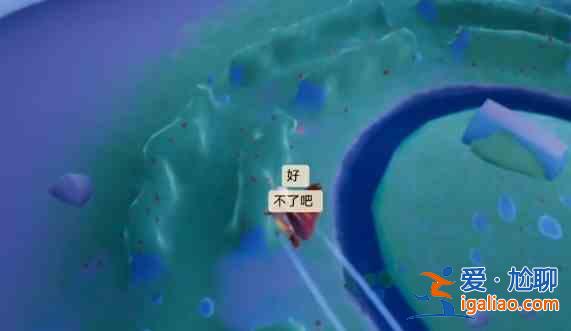 光遇小王子第二次藏在哪？小王子第二次藏位置分享？