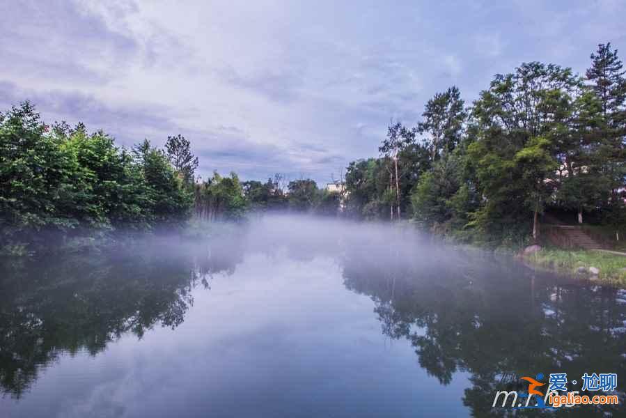 去延邊美人松公園，邂逅“美人”？