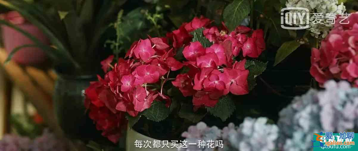 《在劫難逃》官博透漏重要信息，孫曉萌或不是大boss？