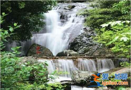 中國的亞馬遜雨林，攝影師的天堂？