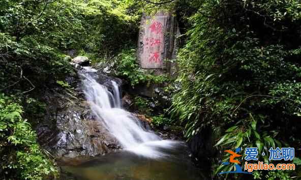 中國的亞馬遜雨林，攝影師的天堂？
