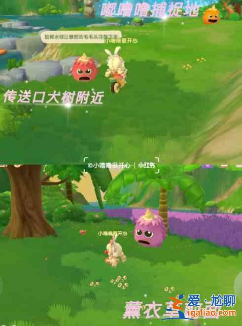 摩爾莊園怎么和拉姆玩耍？凱文老師特訓(xùn)任務(wù)完成攻略？
