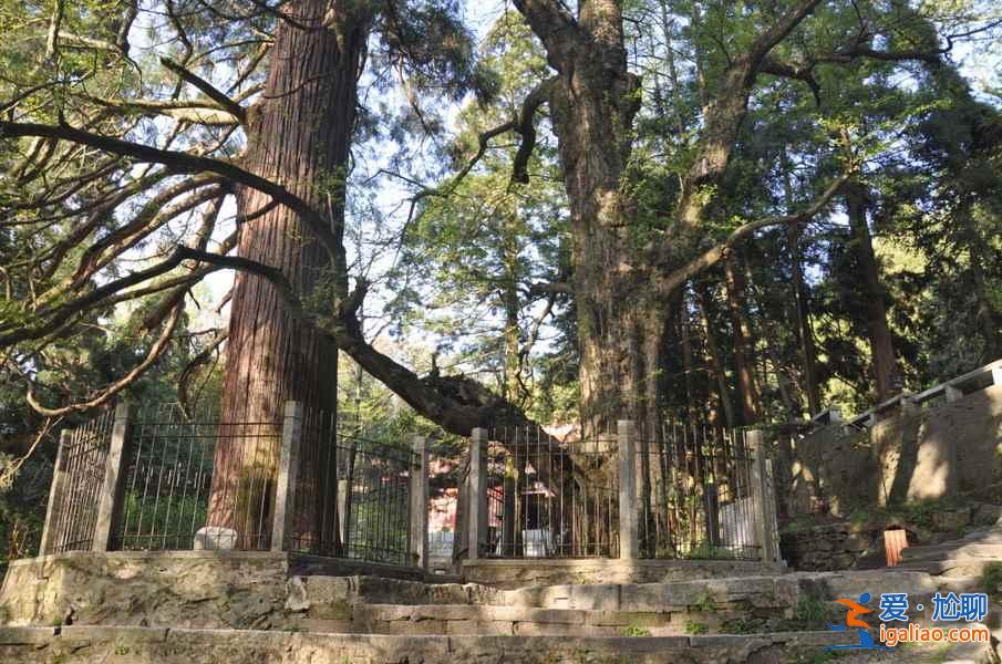 【廬山東西線哪個好玩】廬山東線有什么景點，廬山西線有什么景點？