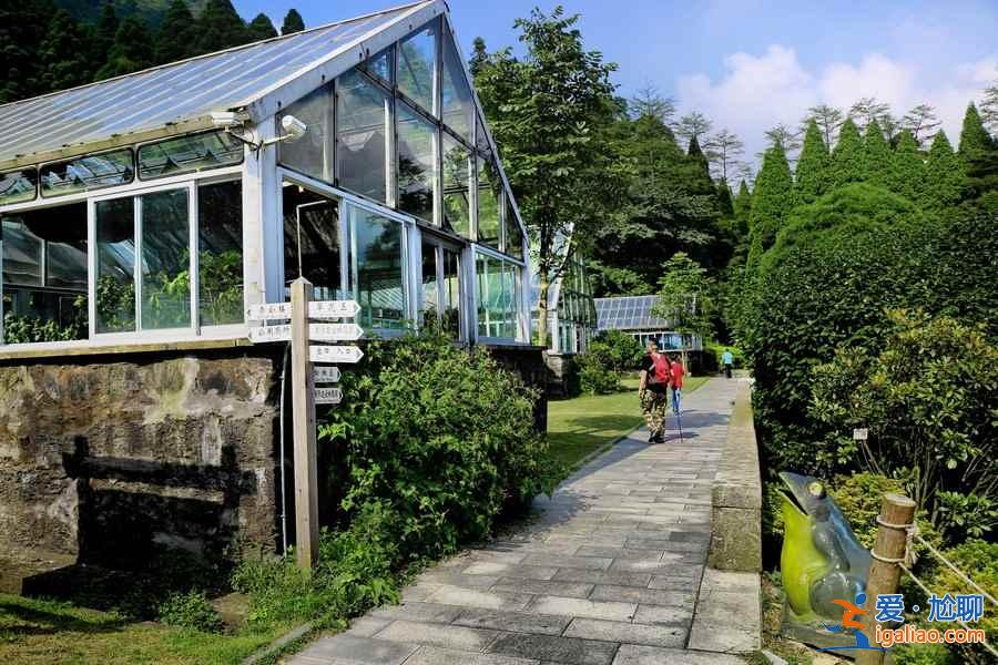 【廬山東西線哪個好玩】廬山東線有什么景點，廬山西線有什么景點？