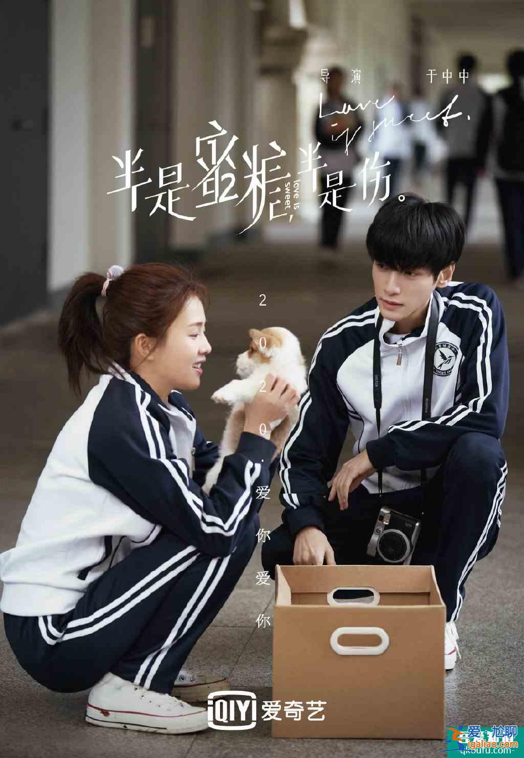 羅云熙、白鹿《半是蜜糖半是傷》，集愛情、豪門、商戰(zhàn)的極致暖心？