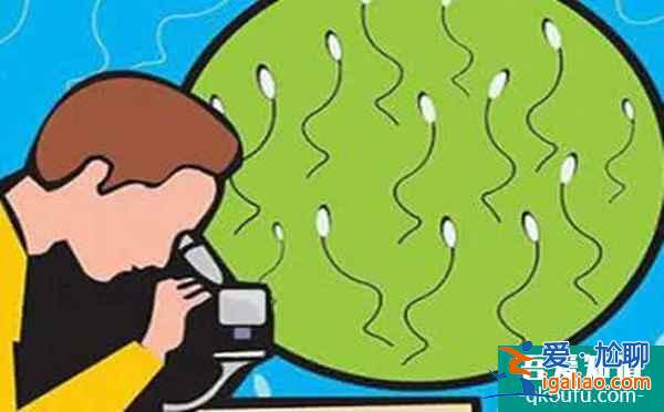 試管嬰兒專家：胚胎質(zhì)量差主要是女方的因素嗎？？