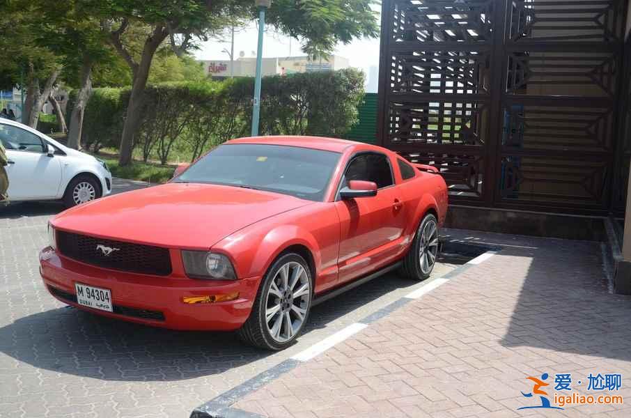迪拜街頭的豪車，真是叼炸天??？