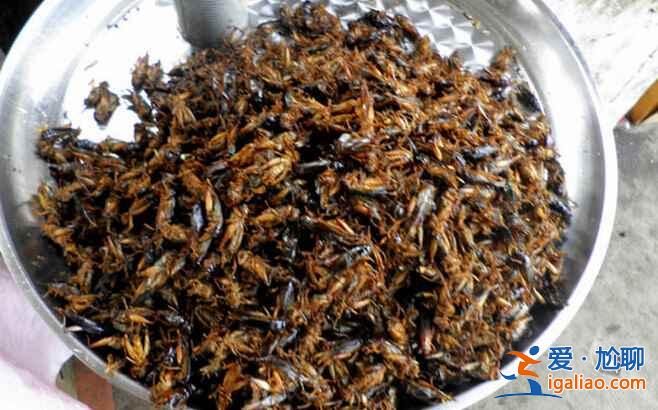重口味美食，柬埔寨絕對是當(dāng)之無愧的第一??？