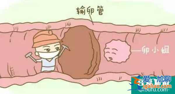 女性雙側(cè)輸卵管堵塞還可以赴美做試管嬰兒嗎？？