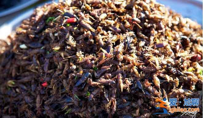 重口味美食，柬埔寨絕對是當(dāng)之無愧的第一??？