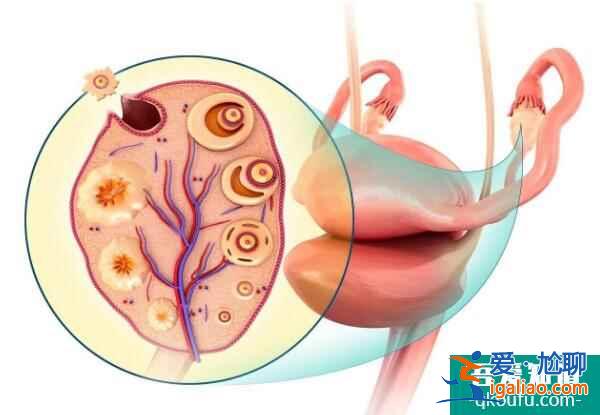 從非婚生子隨母落戶政策角度分析赴美試管助孕的三大好處？