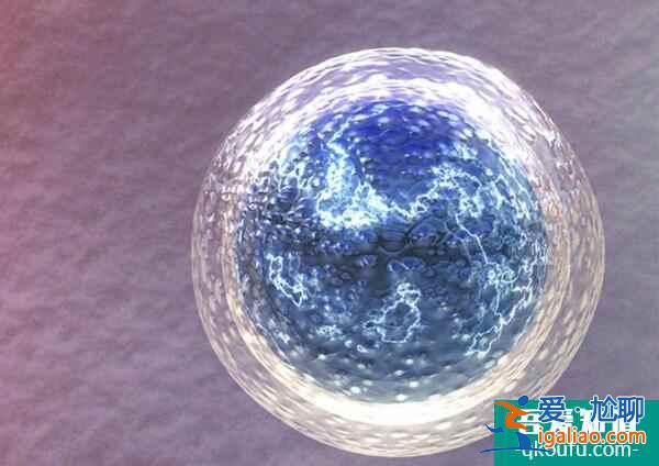 從非婚生子隨母落戶政策角度分析赴美試管助孕的三大好處？