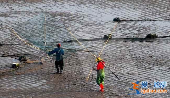 中國最美的漁村——福建霞浦？