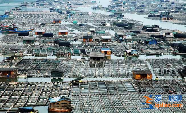 中國最美的漁村——福建霞浦？
