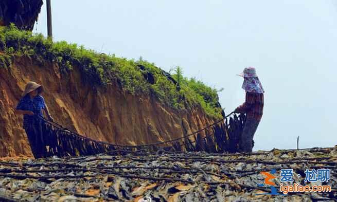中國最美的漁村——福建霞浦？