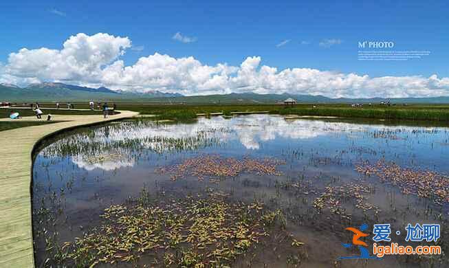 中國最美的沼澤濕地：若爾蓋濕地？
