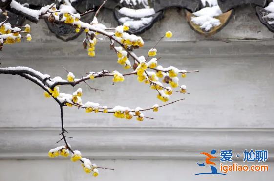 最冷的數(shù)九寒天來了 你家的雪啥時來？？