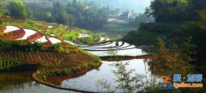 赤水歸來(lái)不看水：水隨山高，處處皆景？