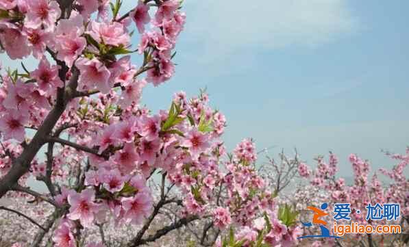 吃貨最愛，美景當(dāng)前，去成都撒歡吧??？