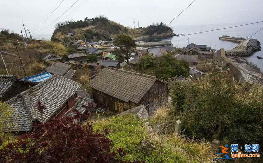 喵星人真的占領(lǐng)地球了！走進(jìn)日本貓島？