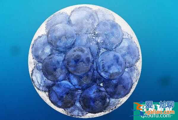 單角子宮對生育的影響？